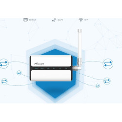 UG65-L04EU-868M-EA   ,LoRaWAN Gateway, Antena Externa y 2/3/4G